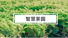 智慧茶园解决方案